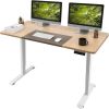 Electric Standing Desk Height Adjustable Office Desk