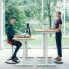 Electric Standing Desk Height Adjustable Office Desk